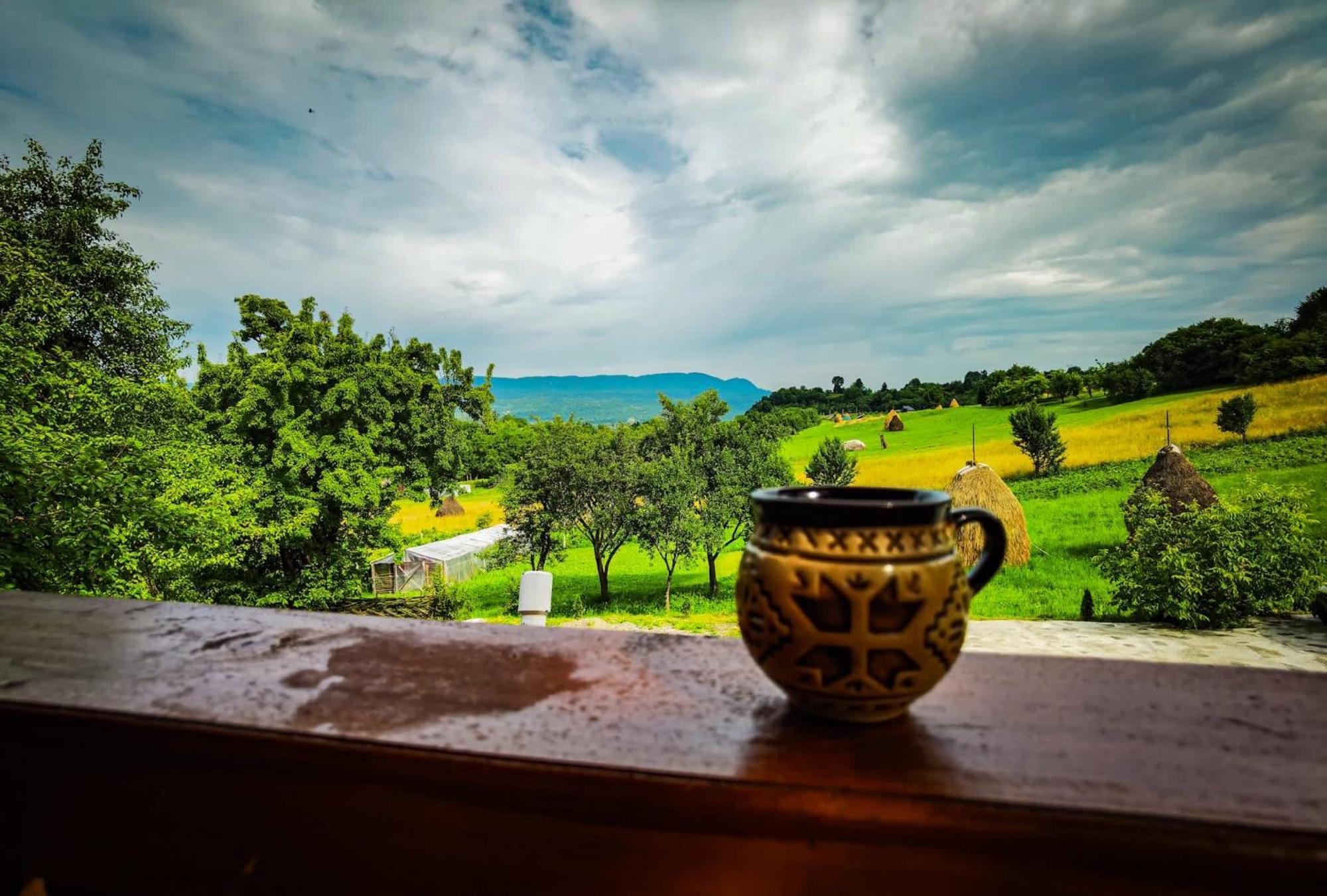 Casa Leca Hotel Breb Екстериор снимка